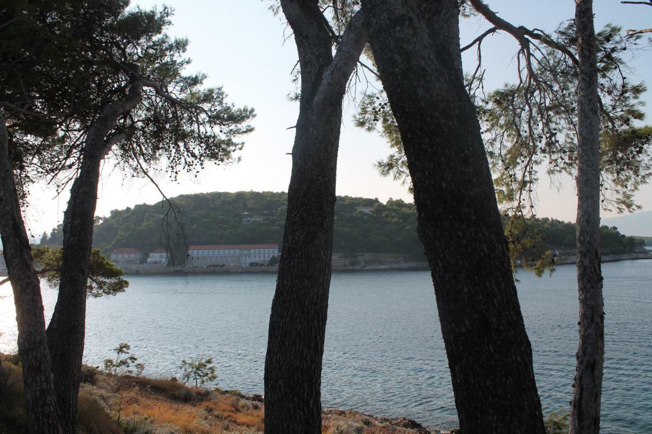 Covahouse Lägenhet Jelsa  Exteriör bild