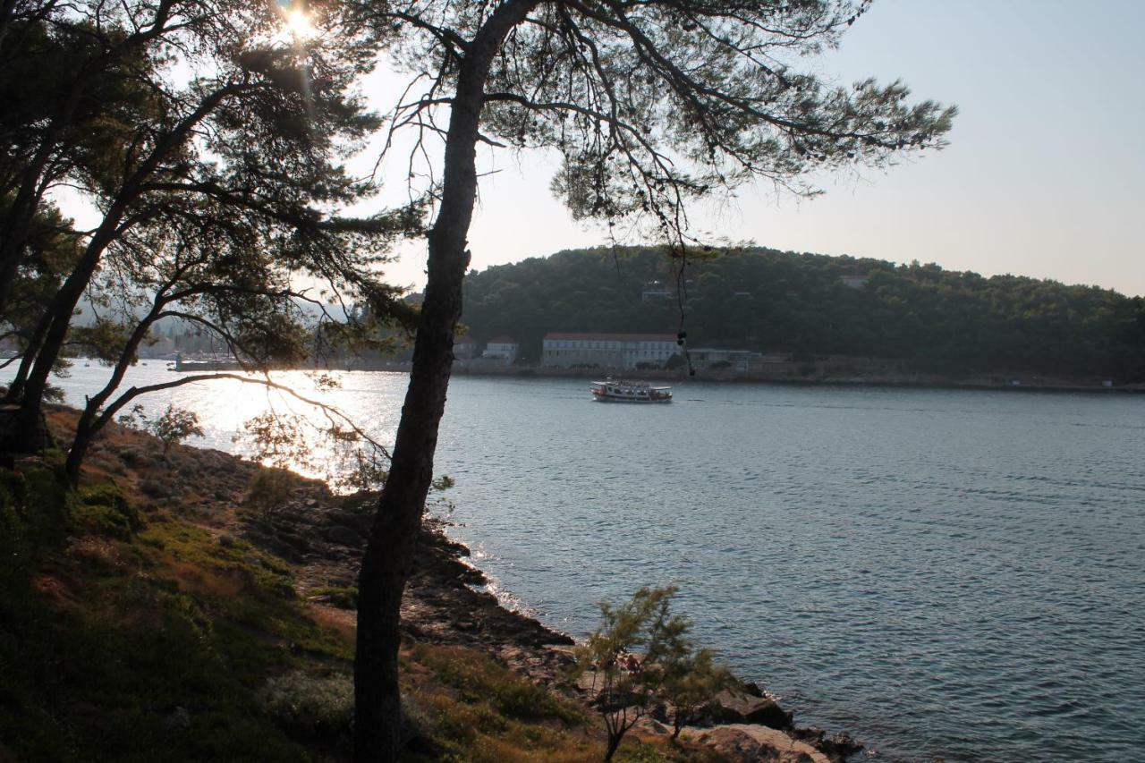 Covahouse Lägenhet Jelsa  Exteriör bild